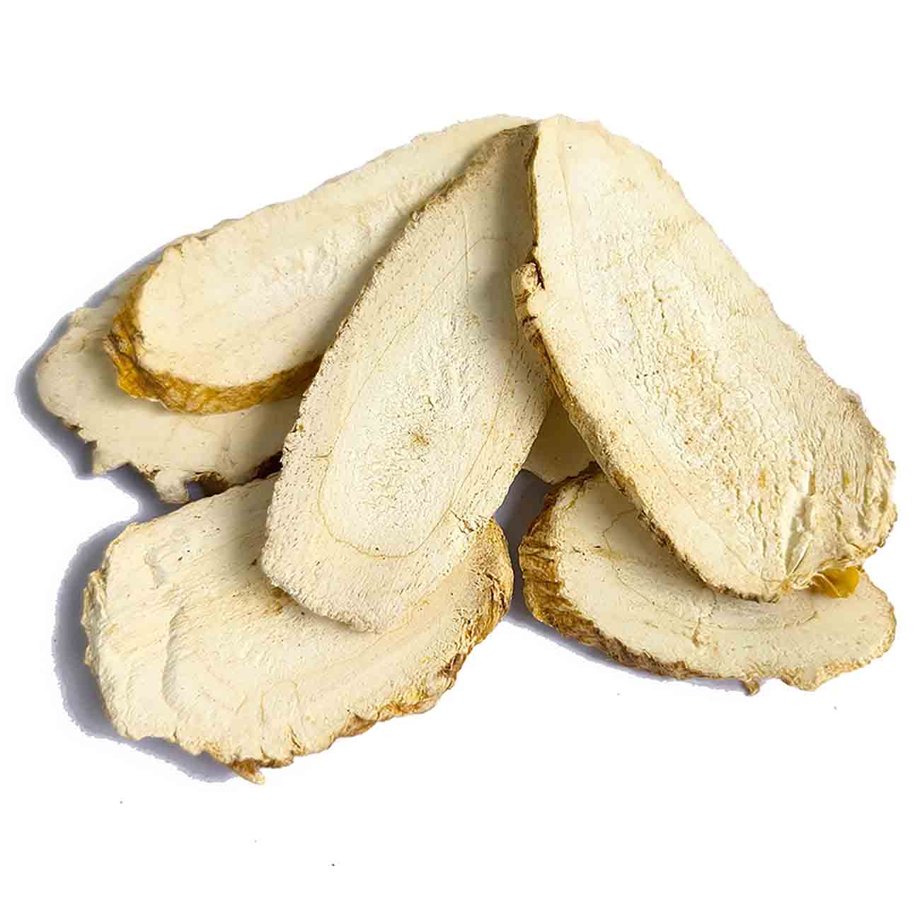 Bạch chỉ - ảnh tham khảo
