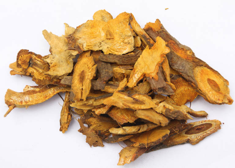 Cốt khí củ - ảnh tham khảo