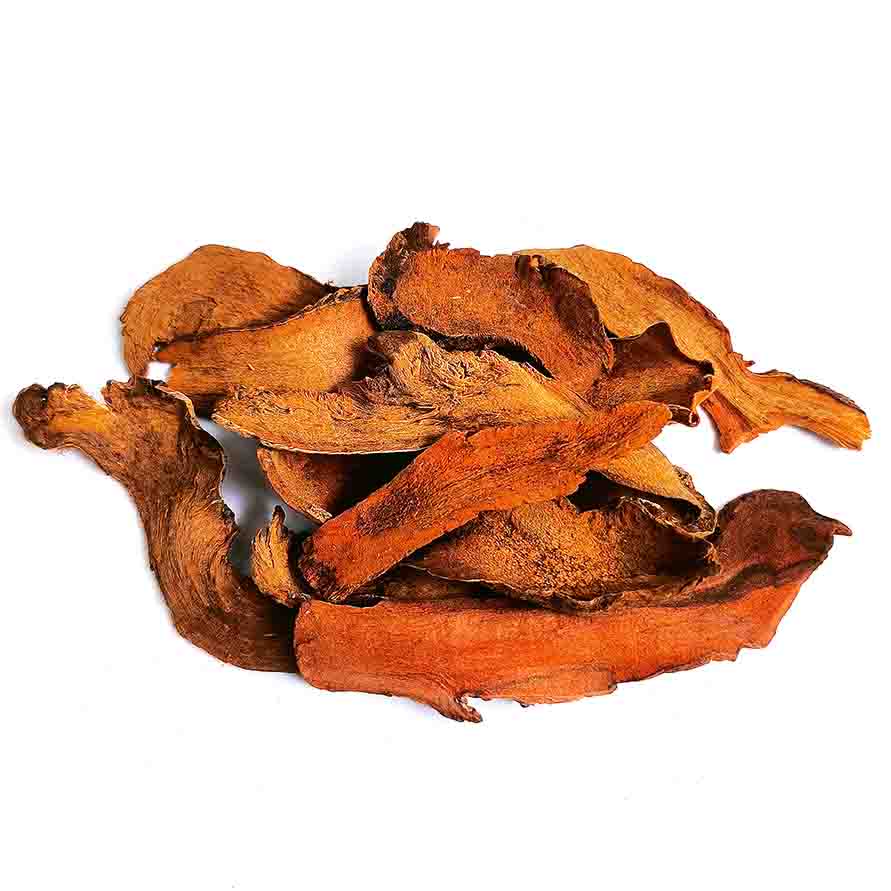 Cốt toái bổ - ảnh tham khảo