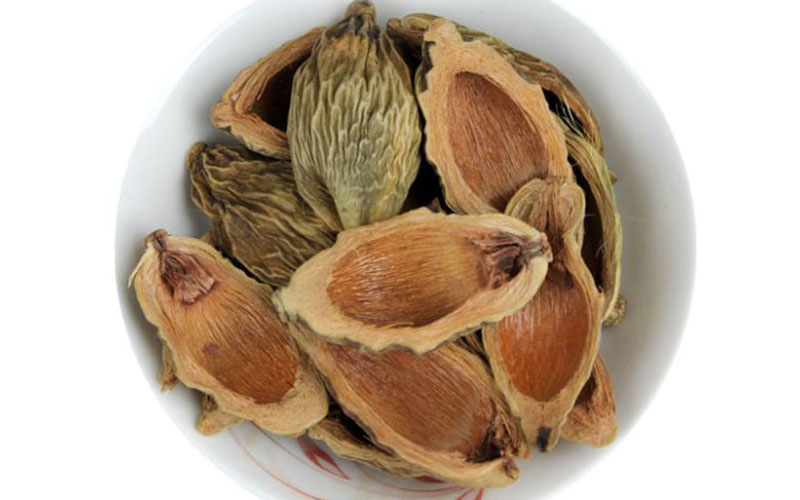 Hạt cau - ảnh tham khảo