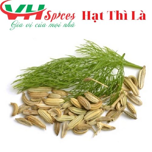 Hạt thì là - ảnh tham khảo