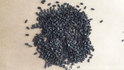 Hồ ma nhân - ảnh tham khảo