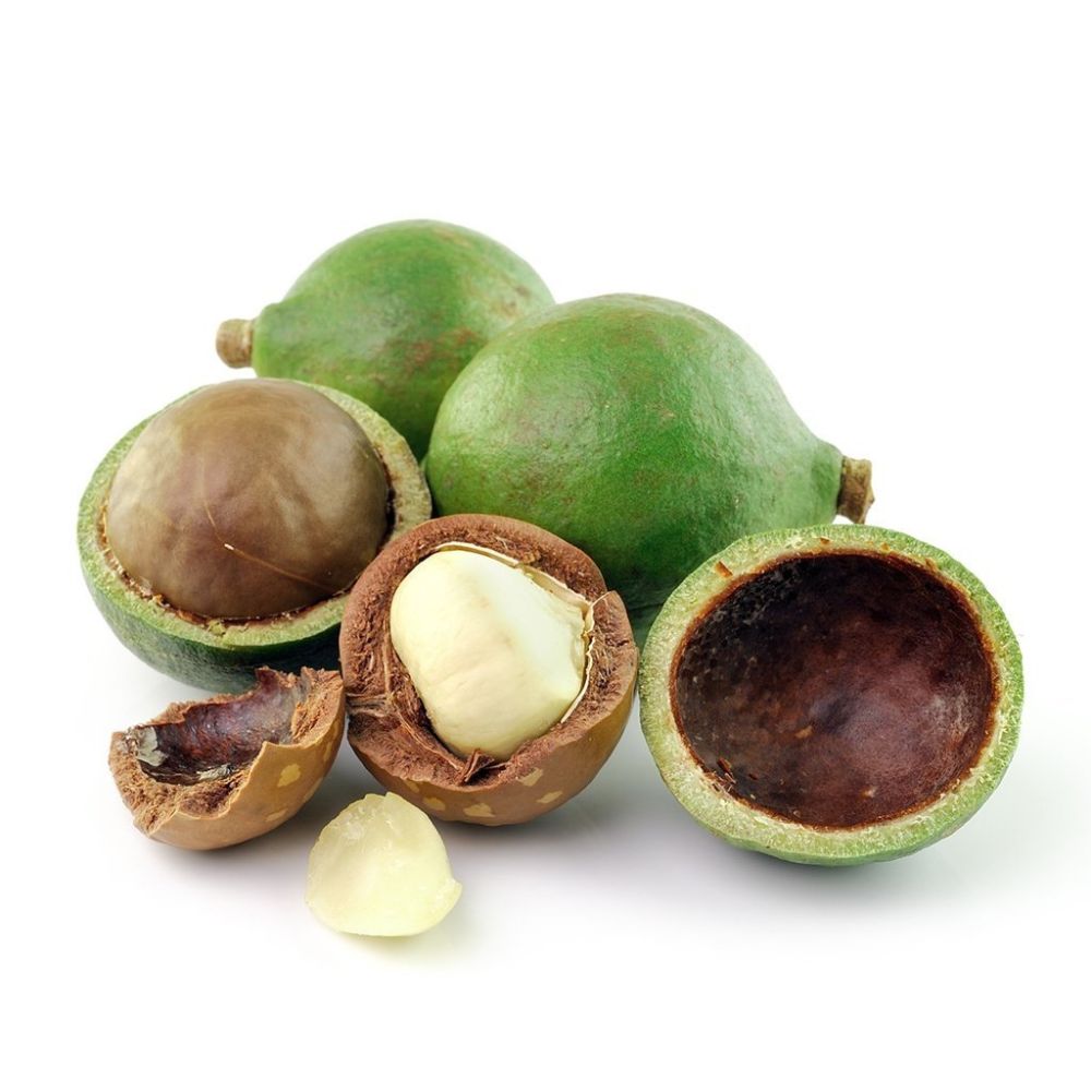 Mù u - ảnh tham khảo