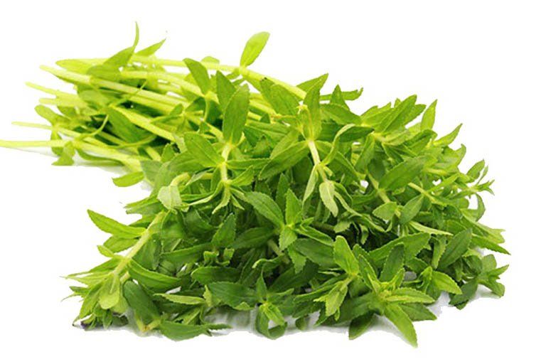 Rau ngổ (rau om) - ảnh tham khảo