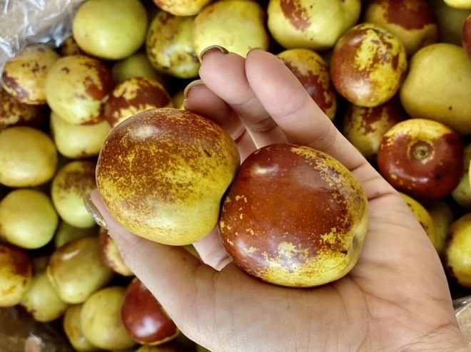 Táo tàu - ảnh tham khảo