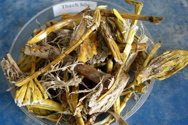 Thạch hộc - ảnh tham khảo