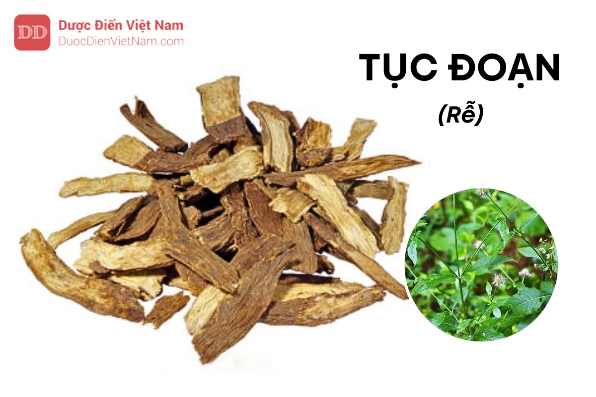 Tục đoạn Việt - ảnh tham khảo