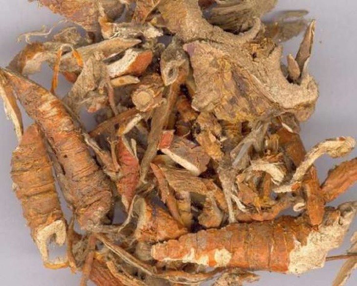Vỏ rễ dâu - ảnh tham khảo