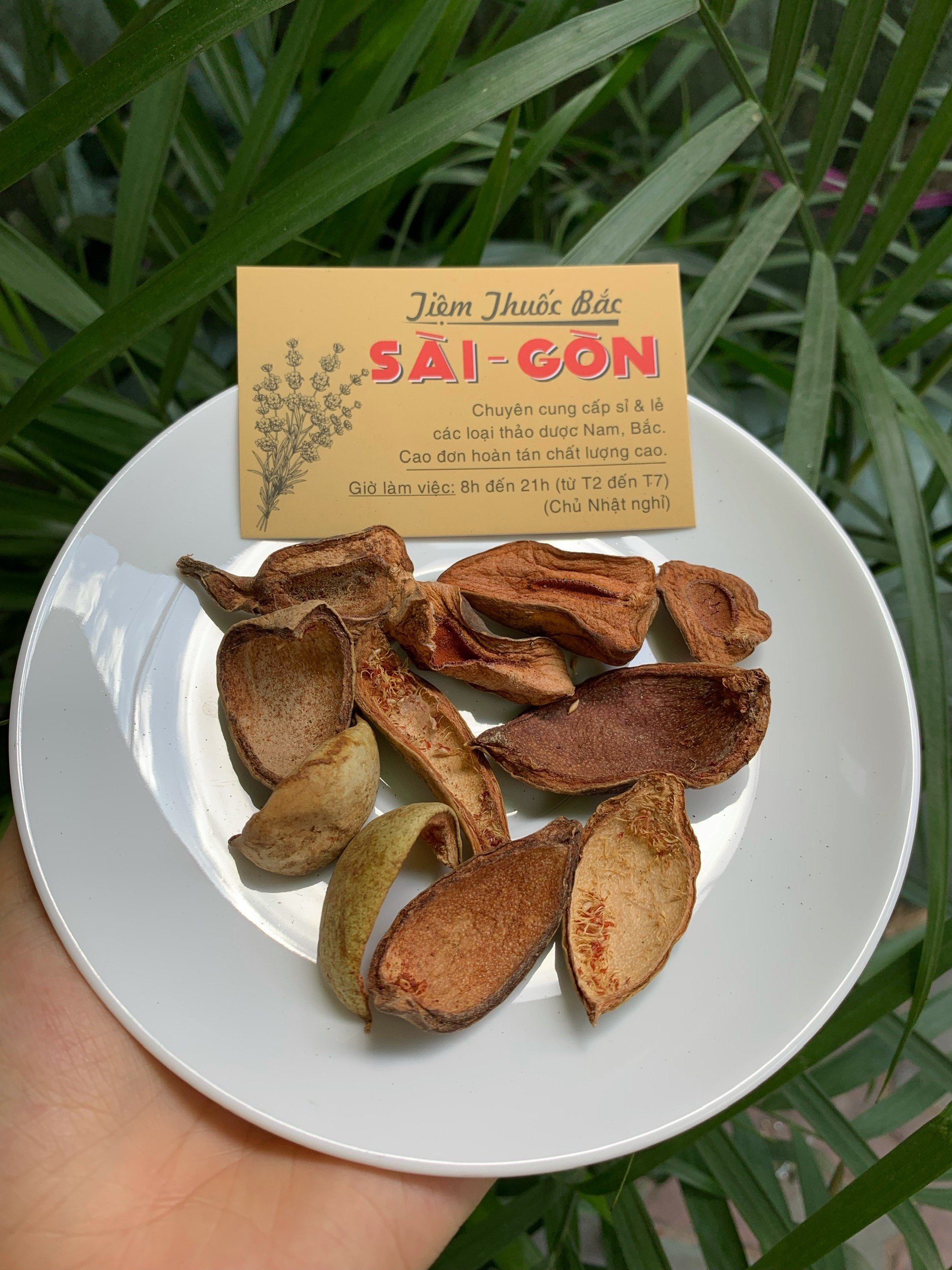 Vương bất lưu hành - ảnh tham khảo