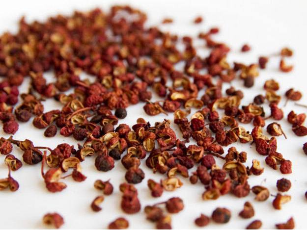 Xuyên tiêu (thục tiêu) - ảnh tham khảo